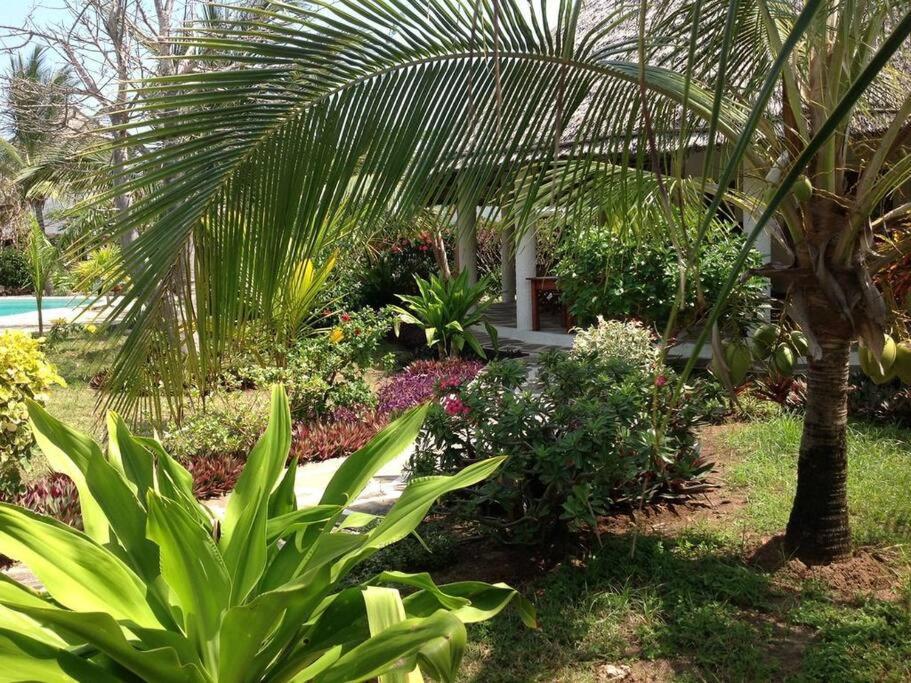 Luxury Simba House In Watamu ☆☆☆☆☆ Exterior foto